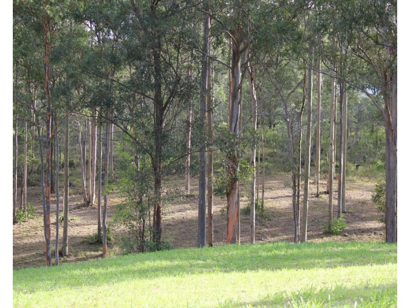 2 Memory Lane, North Deep Creek QLD 4570