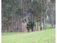 2 Memory Lane, North Deep Creek QLD 4570