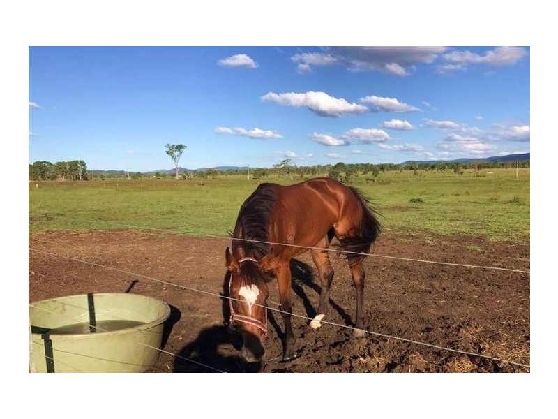 444 RUNNING CREEK ROAD, Kilkivan QLD 4600