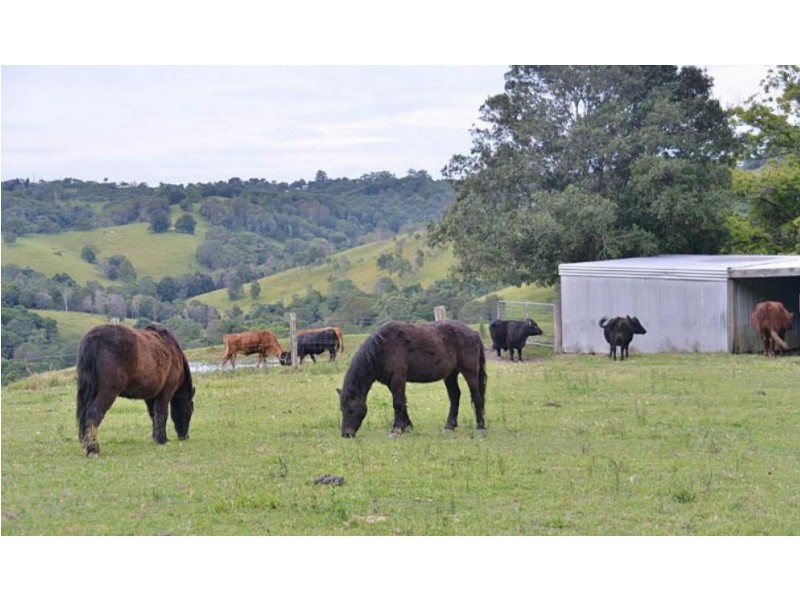 532 BLACK MOUNTAIN ROAD, Black Mountain QLD 4563