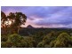 532 BLACK MOUNTAIN ROAD, Black Mountain QLD 4563