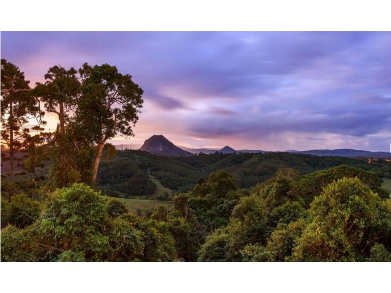 532 BLACK MOUNTAIN ROAD, Black Mountain QLD 4563