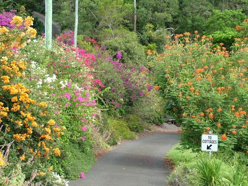 532 BLACK MOUNTAIN ROAD, Black Mountain QLD 4563