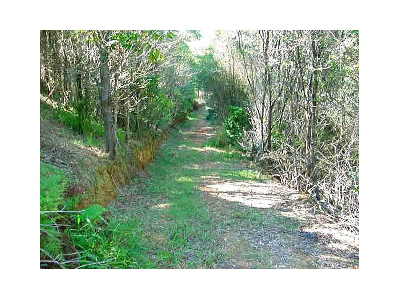 532 BLACK MOUNTAIN ROAD, Black Mountain QLD 4563