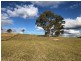 Lot 34 (84) OVERLANDER AVENUE, Chatsworth QLD 4570