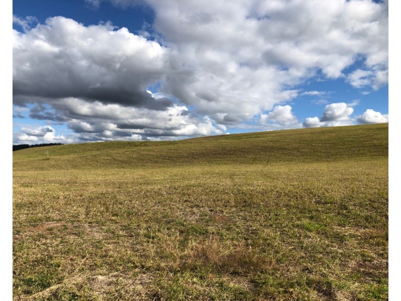 Lot 19 SADDLEBAG COURT, Chatsworth QLD 4570