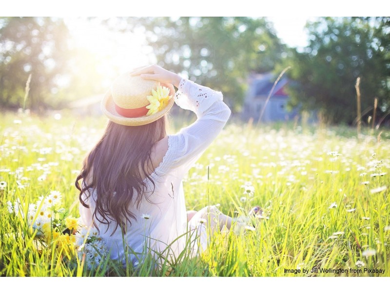 Lot 95 Watergum Drive, Pie Creek QLD 4570