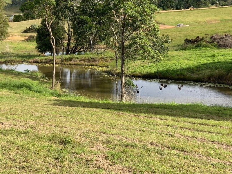 Lot 1 OVERLANDER AVENUE, Chatsworth QLD 4570