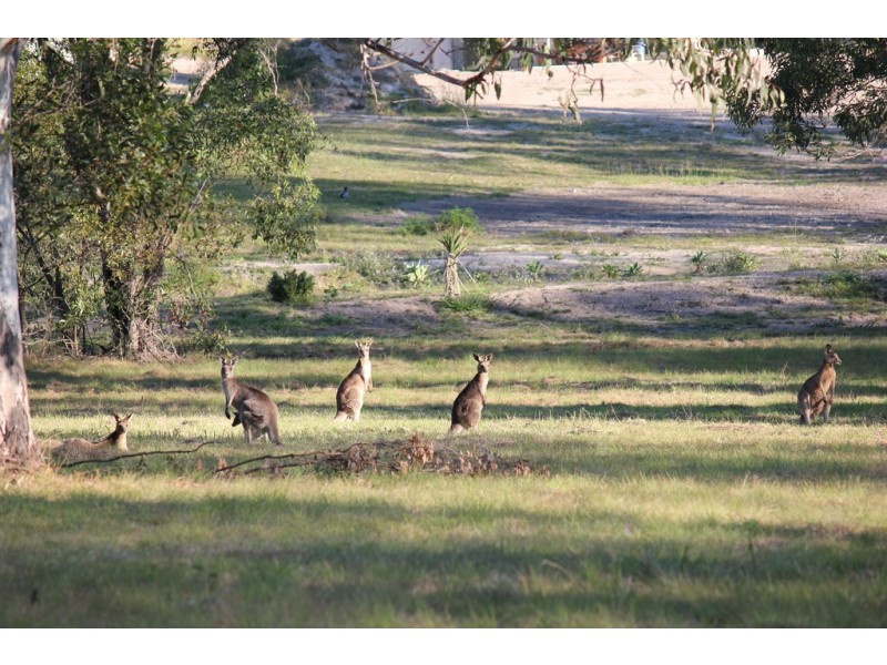 123 Hoopers Road, Curra QLD 4570