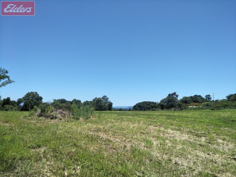 543 BLACK MOUNTAIN RD, Black Mountain QLD 4563