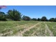543 BLACK MOUNTAIN RD, Black Mountain QLD 4563