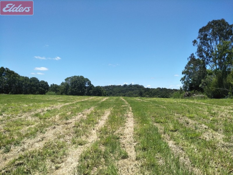 543 BLACK MOUNTAIN RD, Black Mountain QLD 4563