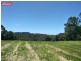543 BLACK MOUNTAIN RD, Black Mountain QLD 4563