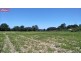 543 BLACK MOUNTAIN RD, Black Mountain QLD 4563