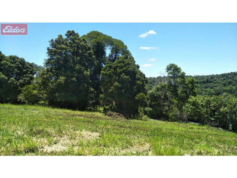 543 BLACK MOUNTAIN RD, Black Mountain QLD 4563