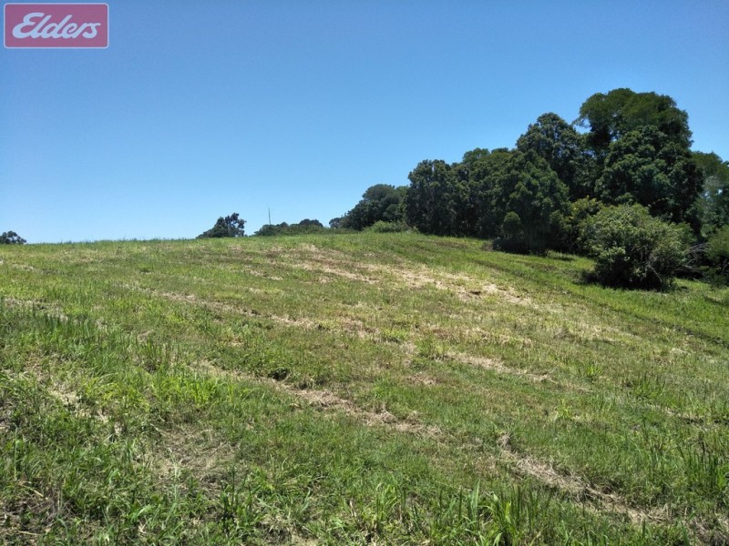 543 BLACK MOUNTAIN RD, Black Mountain QLD 4563