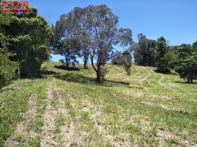 543 BLACK MOUNTAIN RD, Black Mountain QLD 4563