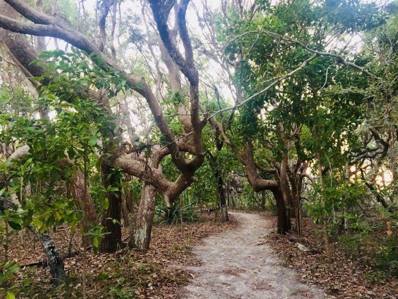 4 IBIS COURT, Rainbow Beach QLD 4581