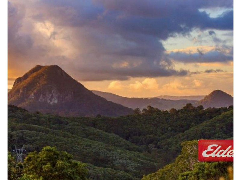 532 BLACK MOUNTAIN ROAD, Black Mountain QLD 4563