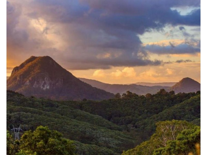 532 BLACK MOUNTAIN ROAD, Black Mountain QLD 4563