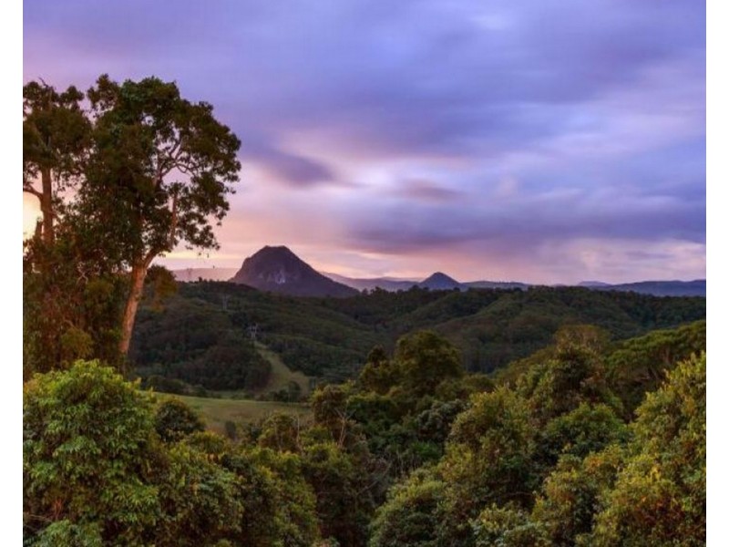 532 BLACK MOUNTAIN ROAD, Black Mountain QLD 4563