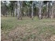 7 LITTLE WIDGEE ROAD, Widgee QLD 4570