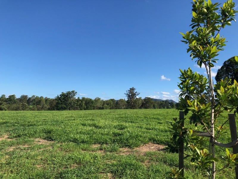 Lot 87 Watergum Drive, Pie Creek QLD 4570