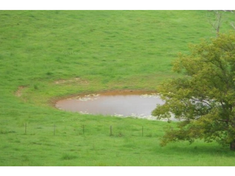 Greens Creek QLD 4570