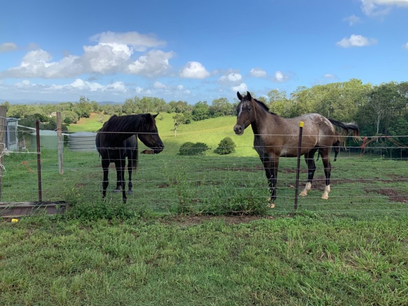 Greens Creek QLD 4570