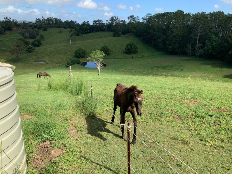 Greens Creek QLD 4570