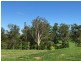 Lot 45 Watergum Drive, Pie Creek QLD 4570