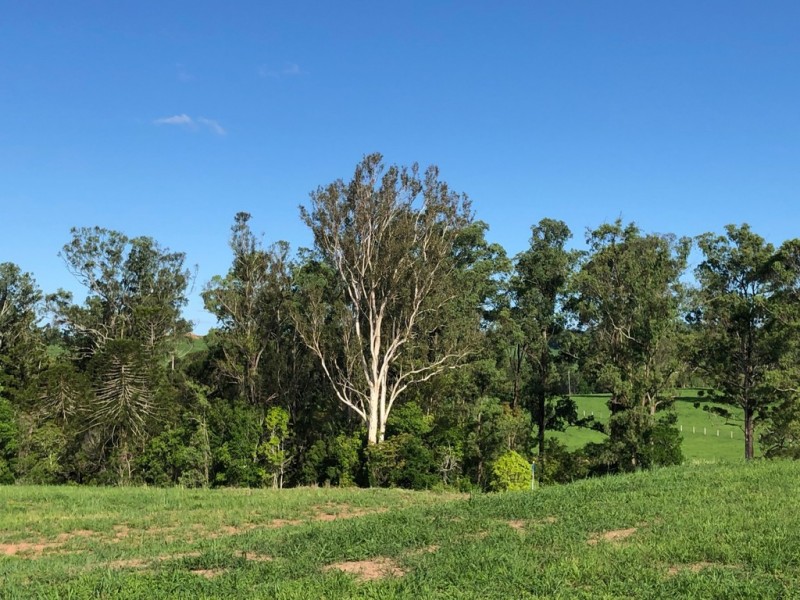 Lot 45 Watergum Drive, Pie Creek QLD 4570