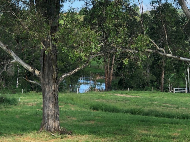 Lot 45 Watergum Drive, Pie Creek QLD 4570