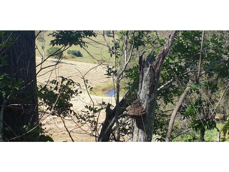 Lot 10 Steele Road, Greens Creek QLD 4570