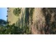 Lot 10 Steele Road, Greens Creek QLD 4570