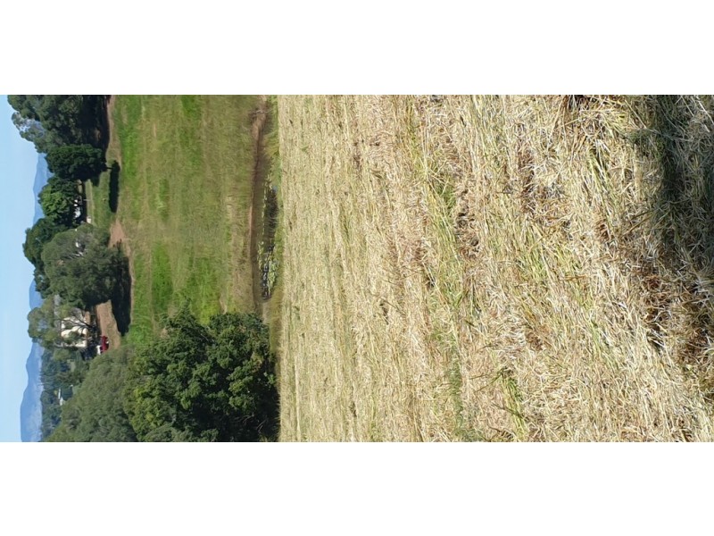 Lot 10 Steele Road, Greens Creek QLD 4570