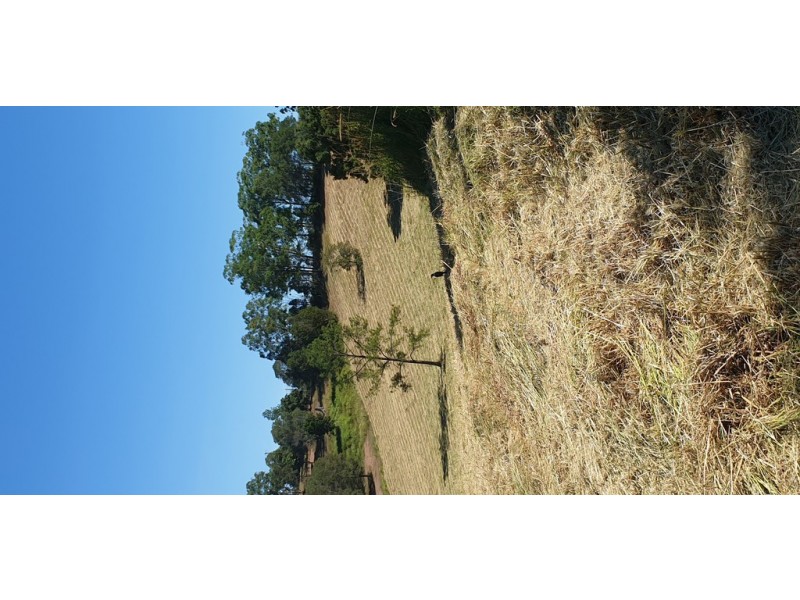 Lot 10 Steele Road, Greens Creek QLD 4570