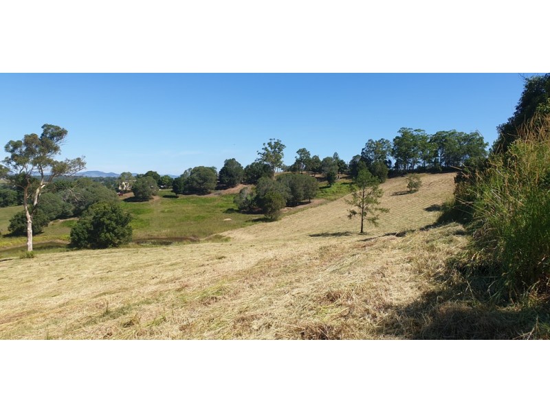 Lot 10 Steele Road, Greens Creek QLD 4570