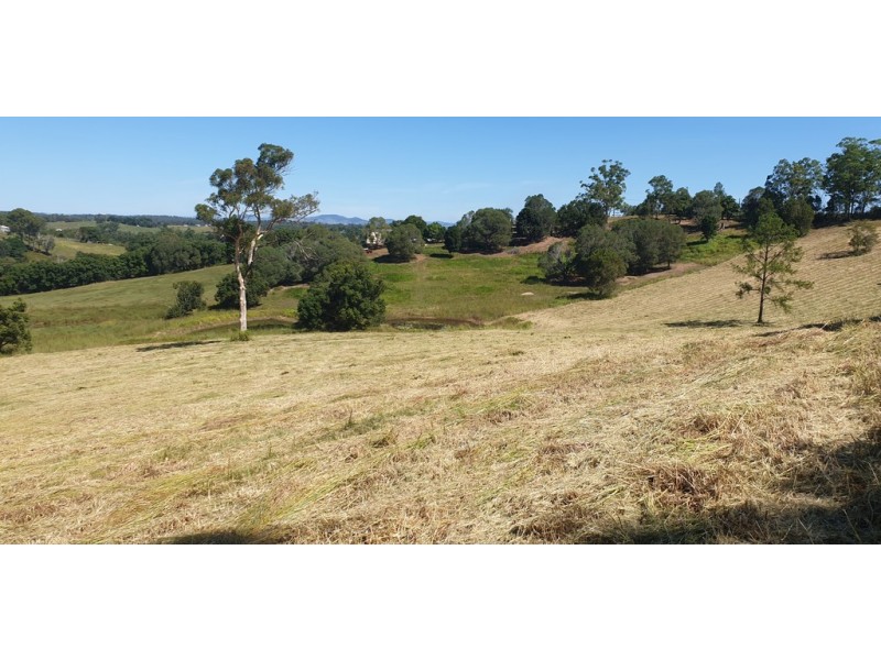 Lot 10 Steele Road, Greens Creek QLD 4570