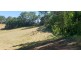 Lot 10 Steele Road, Greens Creek QLD 4570