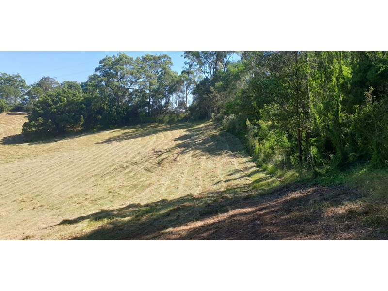 Lot 10 Steele Road, Greens Creek QLD 4570