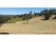 Lot 10 Steele Road, Greens Creek QLD 4570