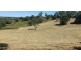 Lot 10 Steele Road, Greens Creek QLD 4570