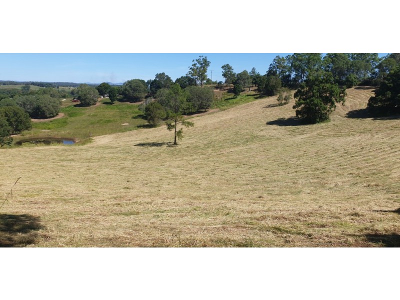 Lot 10 Steele Road, Greens Creek QLD 4570
