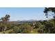 Lot 10 Steele Road, Greens Creek QLD 4570