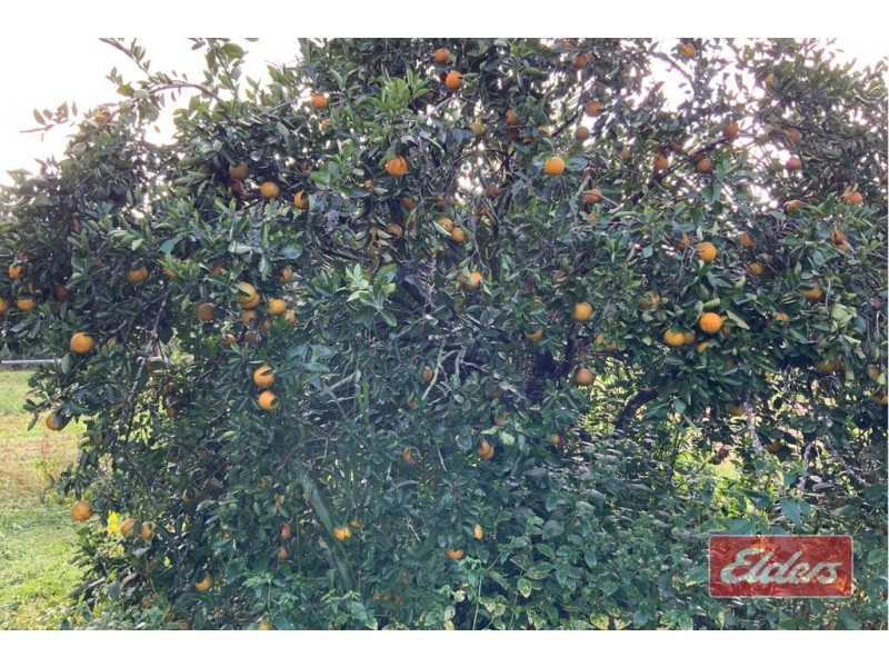 250 MARTYVILLE ROAD, Martyville QLD 4858