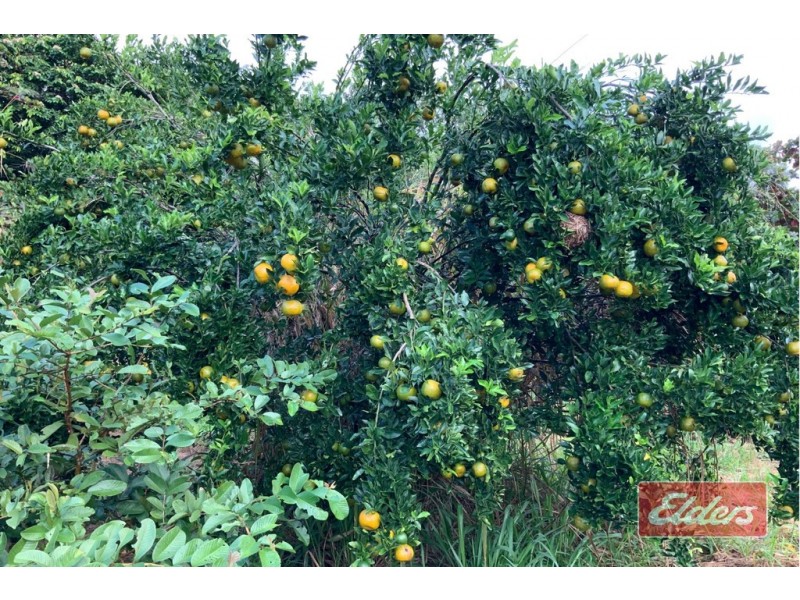 250 MARTYVILLE ROAD, Martyville QLD 4858