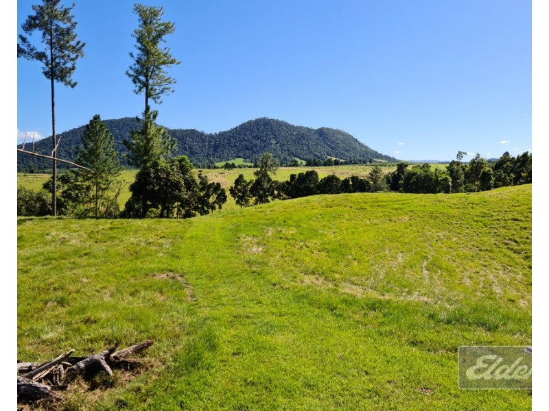 554 UTCHEE CREEK ROAD, Utchee Creek QLD 4871