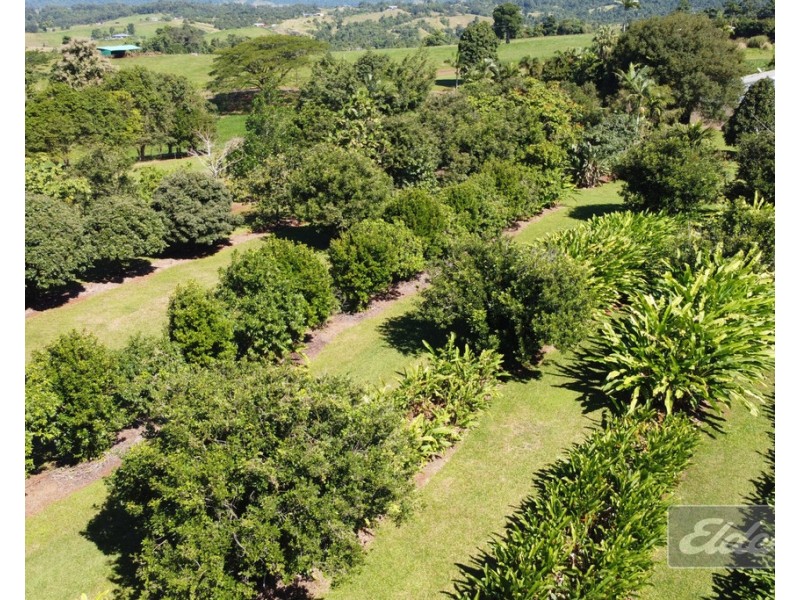 554 UTCHEE CREEK ROAD, Utchee Creek QLD 4871