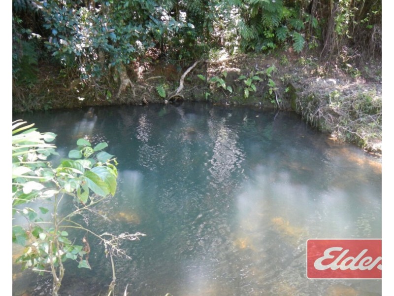 554 UTCHEE CREEK ROAD, Utchee Creek QLD 4871